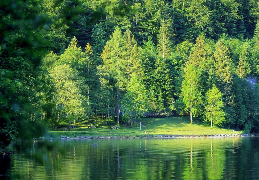 Park Am See Obertraun Exterior photo